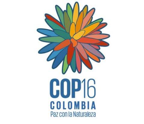 cop_16_logo